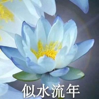 软银集团股价上涨 3.7%， 旗下子公司ARM开始销售自研芯片。