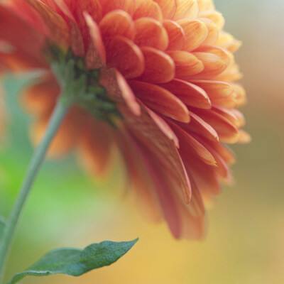 冯德莱恩最新涉华表态 中方回应