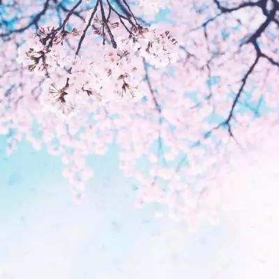 钱柜体育娱乐下载app/手机app下载