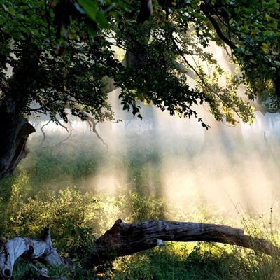 华泰柏瑞中证全指电力公用事业ETF净值上涨3.59%