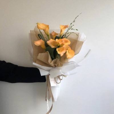 w88体育娱乐app手机版手机版