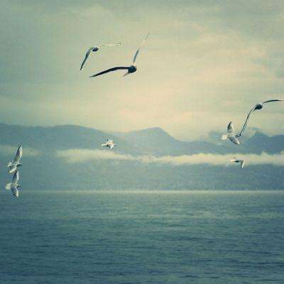 直击中信银行业绩会，“新十万亿银行”今年怎么干？