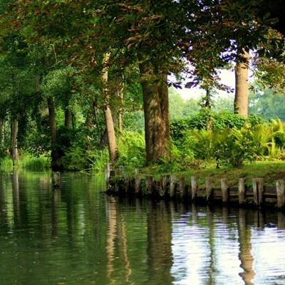 网传研究所所长左前明猥亵下属 信达证券回应：已暂停其一切工作