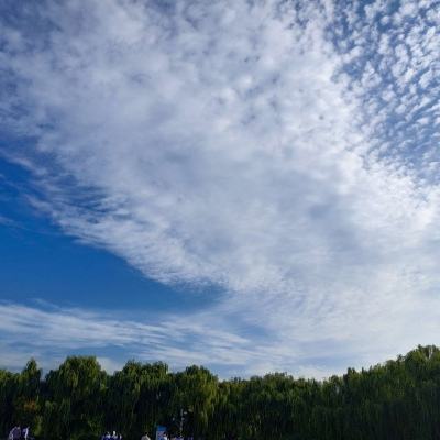 美国有意停火一个月，向伊朗提出“15项条件”和谈方案
