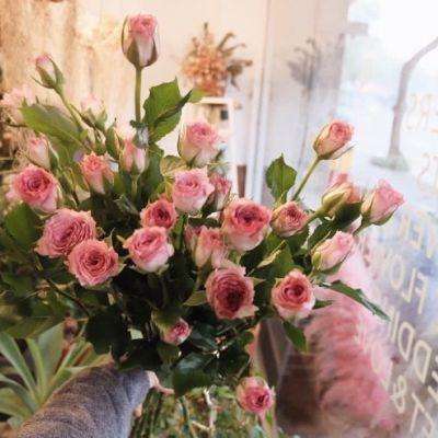 雅博游戏app平台