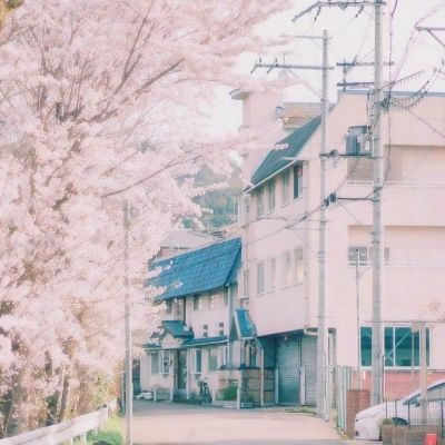 31岁女星闪嫁大25岁富豪 婚礼现场照曝光