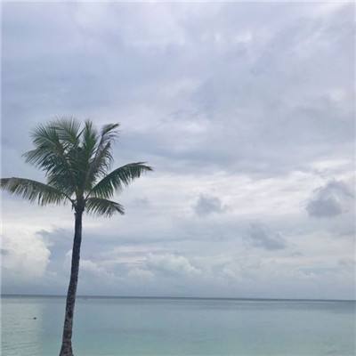 进出口银行召开政策性金融工具年度工作会