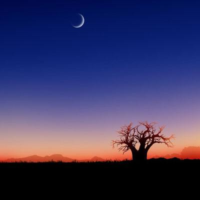 美国前中情局局长：比起特朗普我更信伊朗