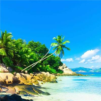 pg麻将胡了免费试玩(娱乐)下载app/官网入口