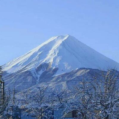 老师你听我解释啊
