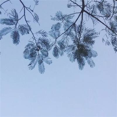 亿电竞体育APP(官方)综合娱乐APP下载安装正版最新版v9.3.2.6截图0