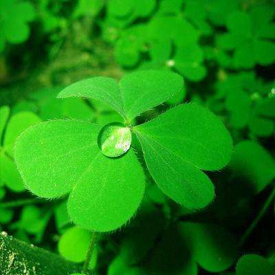 乐鱼体育网址登录