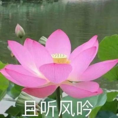 解码宇树科技股东阵容：谁是大赢家？谁又在IPO“临门一脚”前遗憾错失？