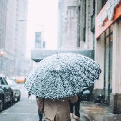 梦之花