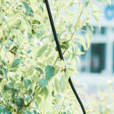 何润东饰演的项羽翻红