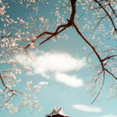 特朗普:伊朗谈判代表“最好尽快认真起来,否则就晚了”