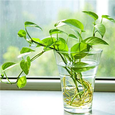 佳兆业集团盘中飙升逾60% 预计去年亏转赚不少于500亿元