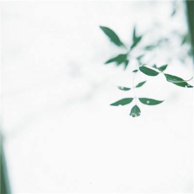美联储理事米兰称上调利率预期源于通胀数据
