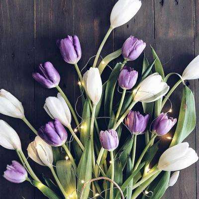 重磅！SpaceX计划最快本周递表，受益板块一览（附股）