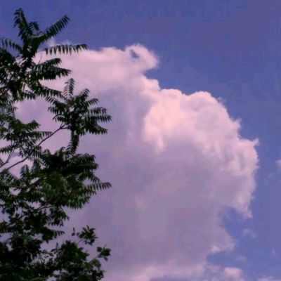 正规体育娱乐下载app/手机app下载