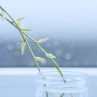 特朗普：我们正在与（伊朗）合适的对象谈判，对方有意达成协议。