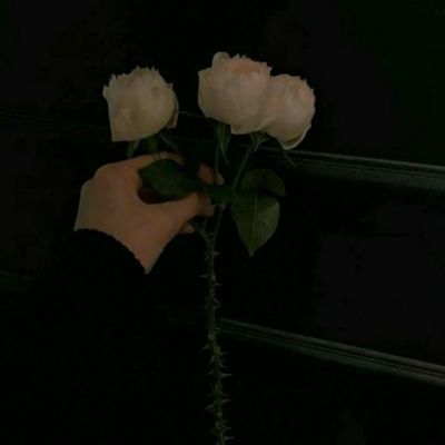 港交所前董事总经理巴曙松于近期失联