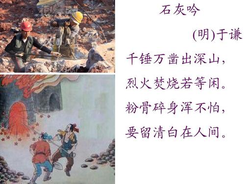 万狗体育